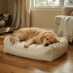 Collection image for: Pets