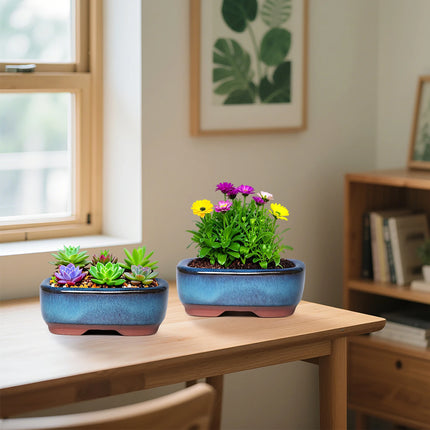 Rectangular Ceramic Succulent Planter Pot