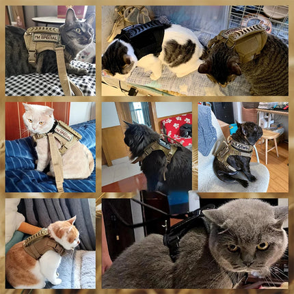 Tactical Cat & Small Dog Harness with Leash – 9 Patch Vest, Adjustable Straps & Handle for Training