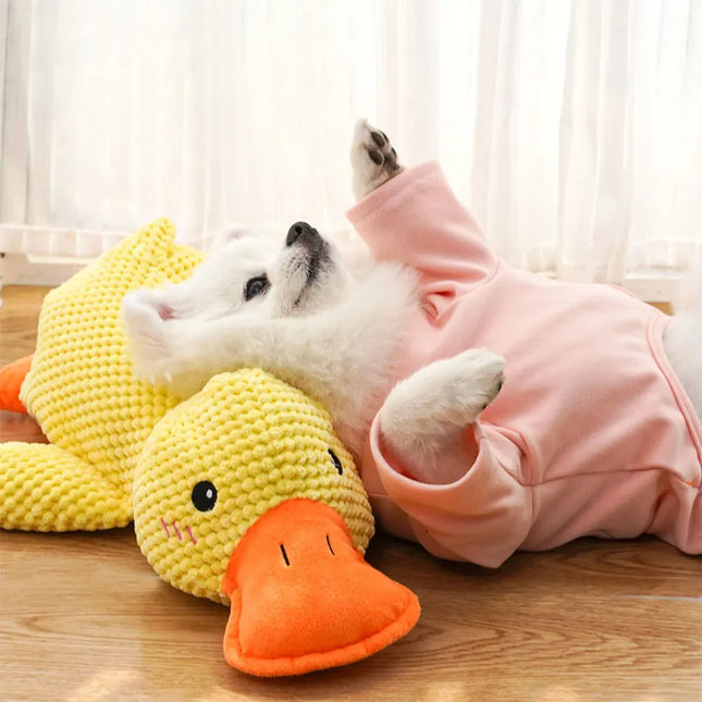 Calming Duck Plush Dog Toy – Squeaky Chew & Cuddle Toy