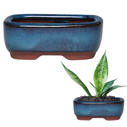 Rectangular Ceramic Succulent Planter Pot
