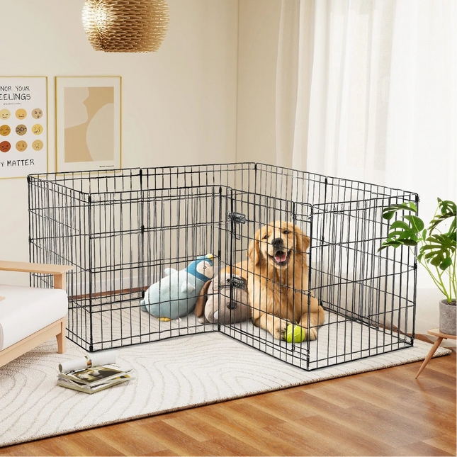 3-in-1 Cat & Dog Steam Brush – USB Rechargeable Grooming Comb with Electric Spray & Massage for Pet Hair Care