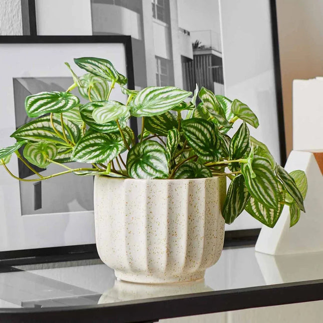 Ribbed Ceramic Vase – Cream White (4.5”)