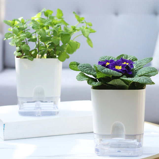 Self-Watering Transparent Planter with Visible Reservoir