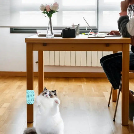 Self-Cleaning Pet Grooming Brush – Table-Leg Mountable Massage Comb for Dogs & Cats