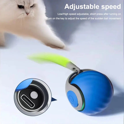 Smart Interactive Dog & Cat Toy Ball – Rechargeable Automatic Bouncing Ball with Dual Speed & Motion Sensor