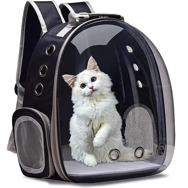Transparent Bubble Pet Backpack Carrier